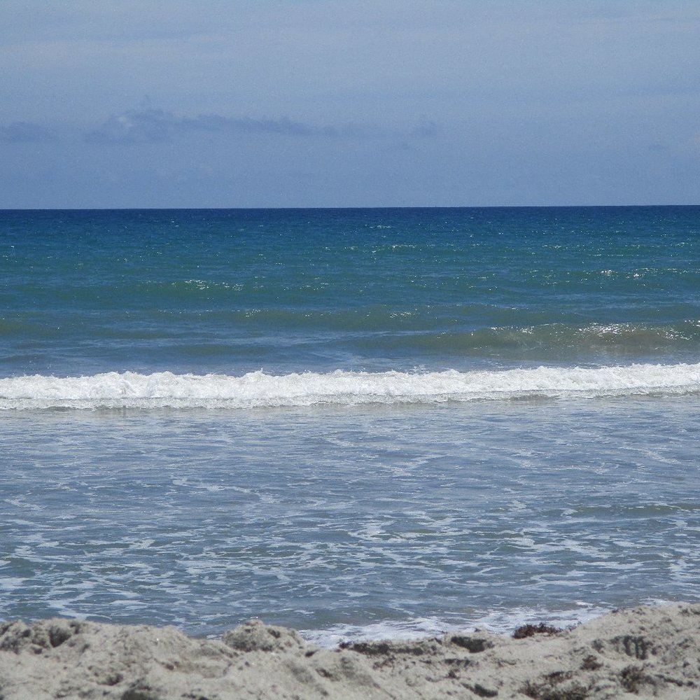 Meet your Posher, Michele